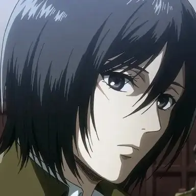 Profile image of 미카사 아커만