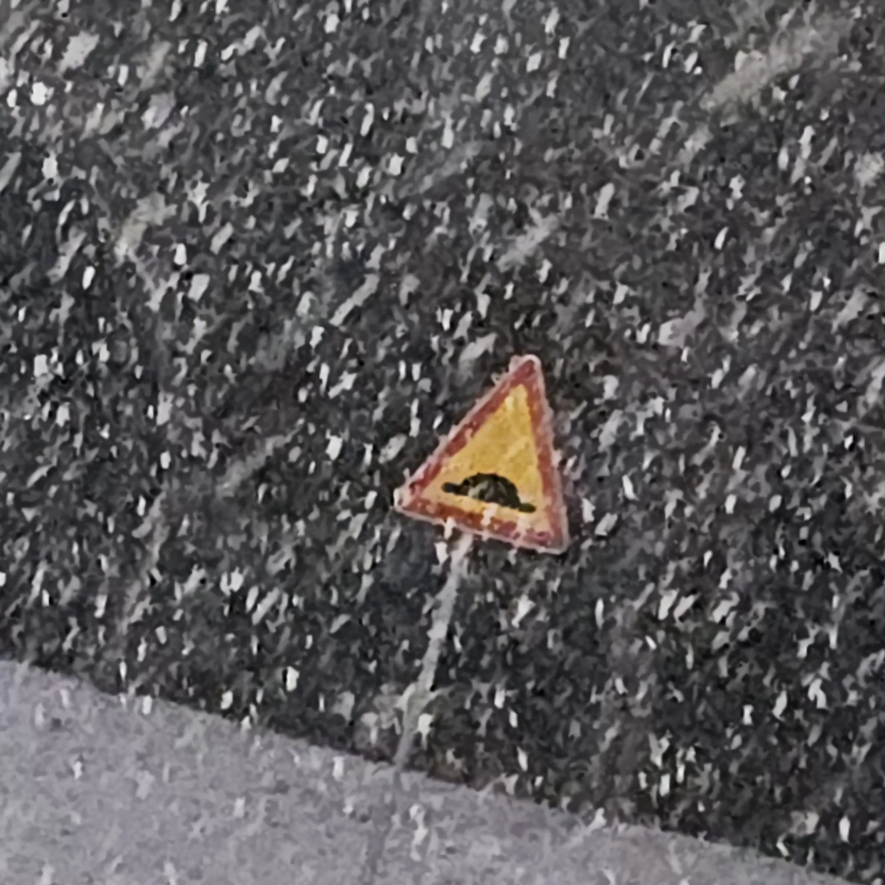 MildLady9001의 우울중있눈 이상혁 환자.