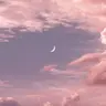 Profile image of Ocean