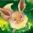 ポケモンスクール