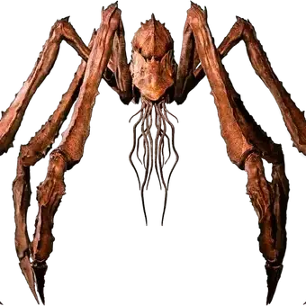 Profile image of Scylla