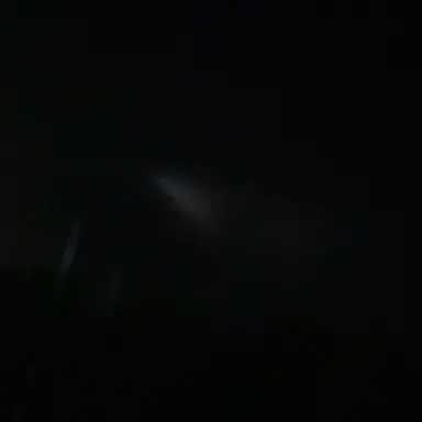 Profile image of 연시은