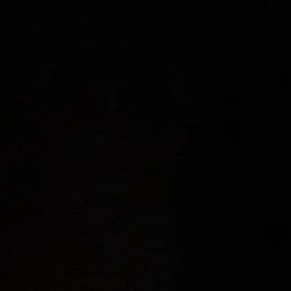 권 숝 영