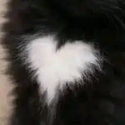 Profile image of 良生