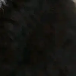 Profile image of 太陽