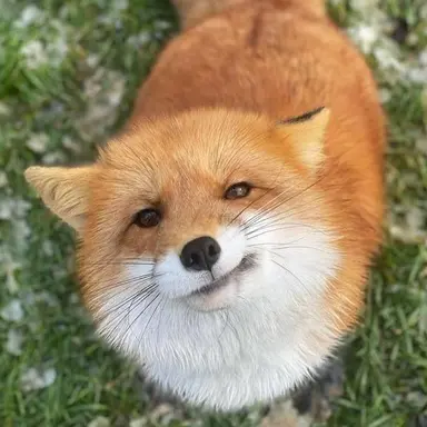Profile image of 여렌