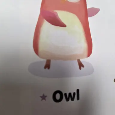 Profile image of 부엉이