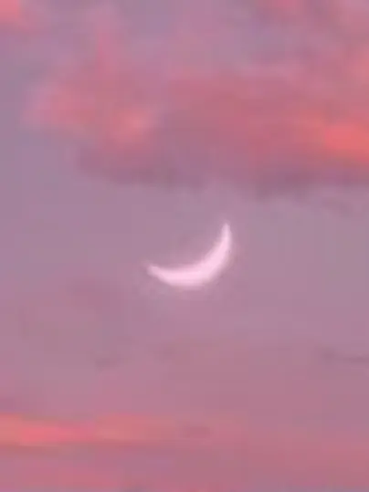 FluffyClamp7120의 空から降ってきた貴方（？）