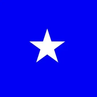 Profile image of ガッチマン