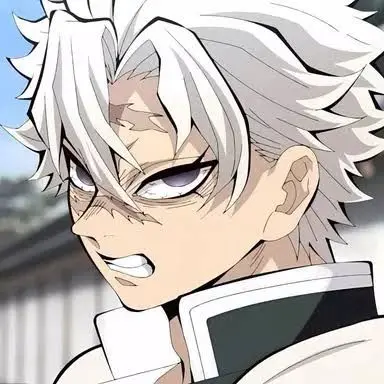 Profile image of 시나즈가와 사네미