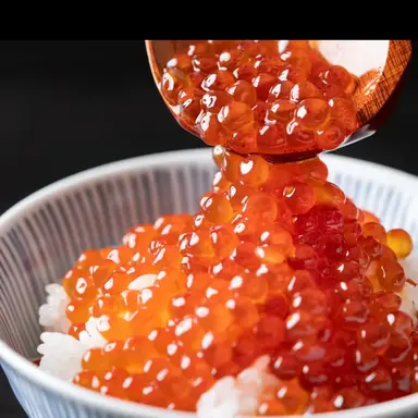 Profile image of いくら丼