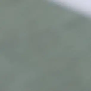 Profile image of 평학과모찌엘