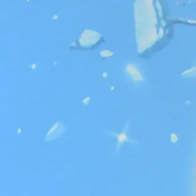 Profile image of 元彼女のみなさま