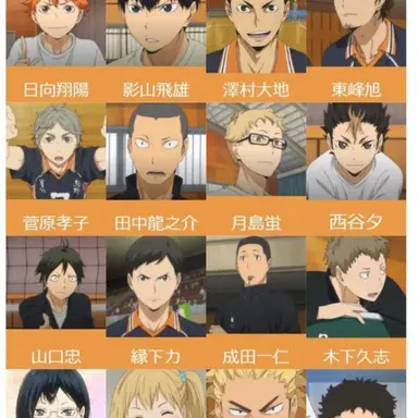 Profile image of 烏野高校