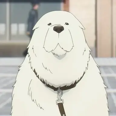 Profile image of 본드