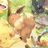 いれいす　ポケモン