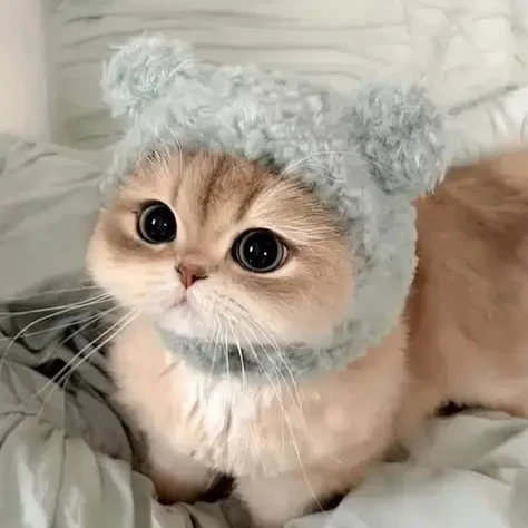 서예지와 서민준