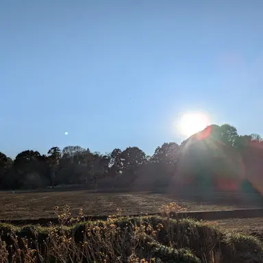 Profile image of 秋田先生