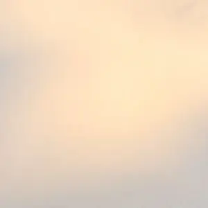 Profile image of 田中   優花里