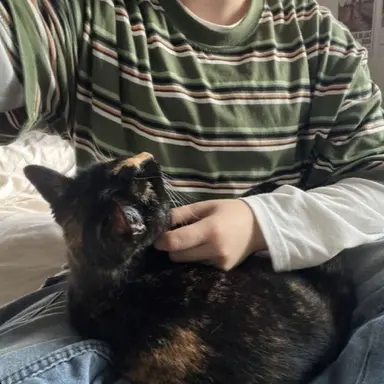 Profile image of Oliver