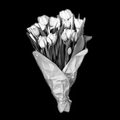 Profile image of 星導ショウ