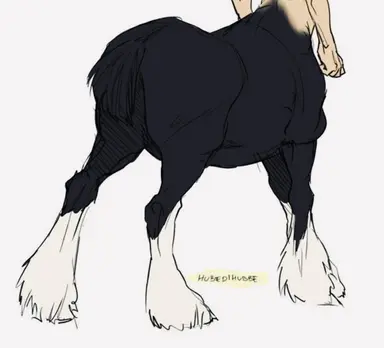 Profile image of Finn