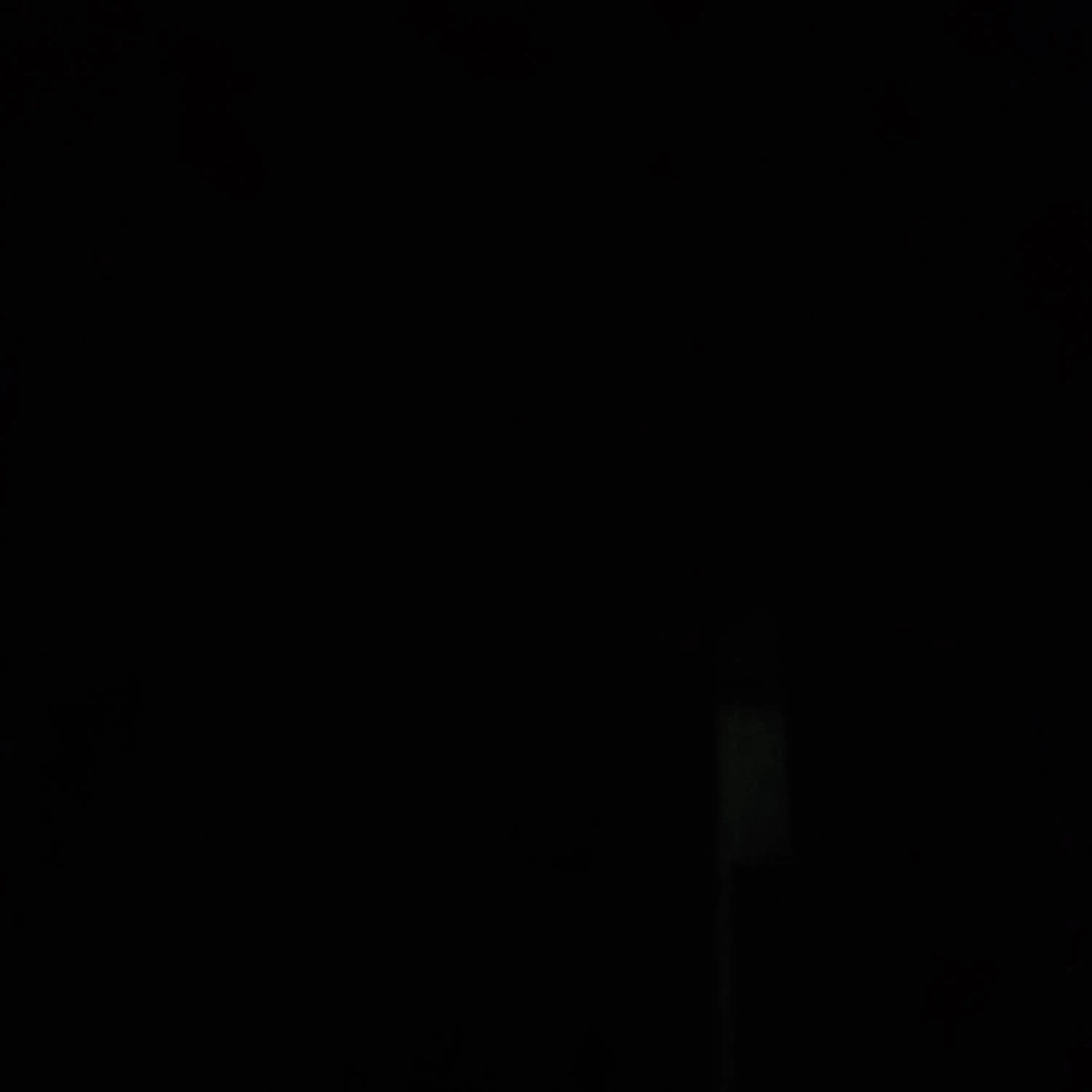 LE_3S의 수인,인간 대전쟁시대