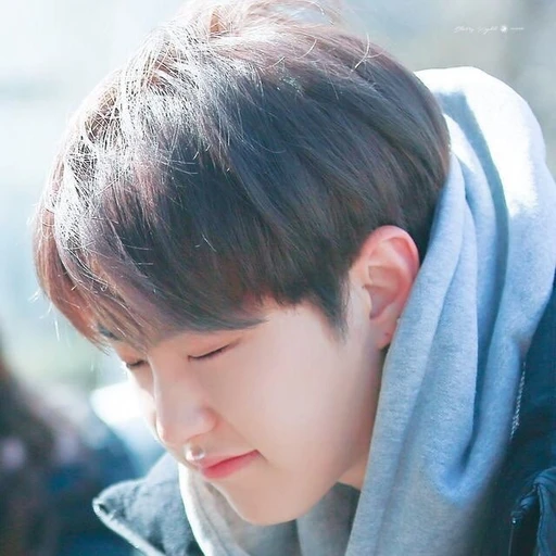 호시
