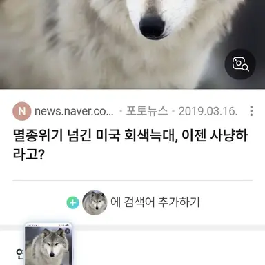 Profile image of 늑대