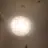 오주혁