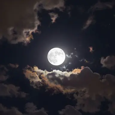 Profile image of 하나코