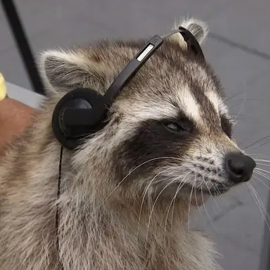 Profile image of 원상