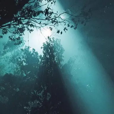 Profile image of 久保舜斗