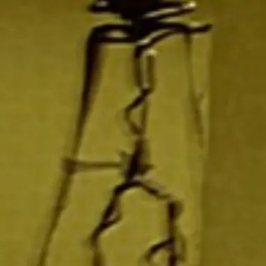 Profile image of Bacteria