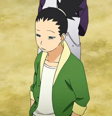 Profile image of シカダイ