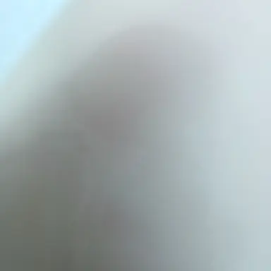 Profile image of 머증이들