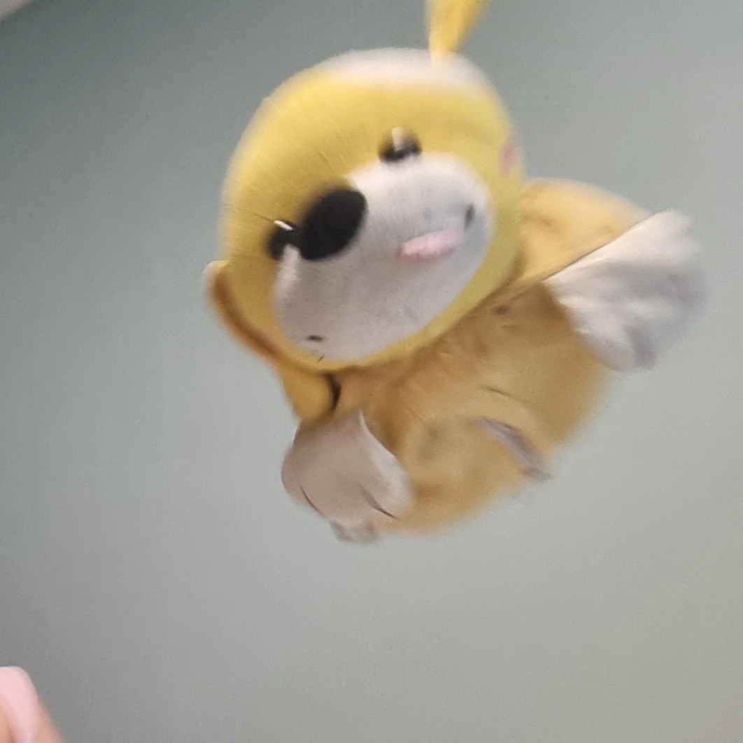 노노노