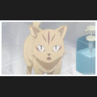 Profile image of 의문의 강아지