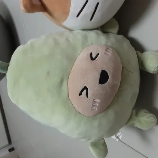 CuteRings7573의 아보카도