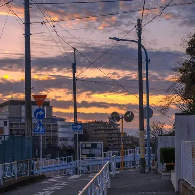 Profile image of 西田有志