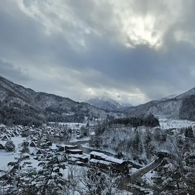 Profile image of 잠뜰