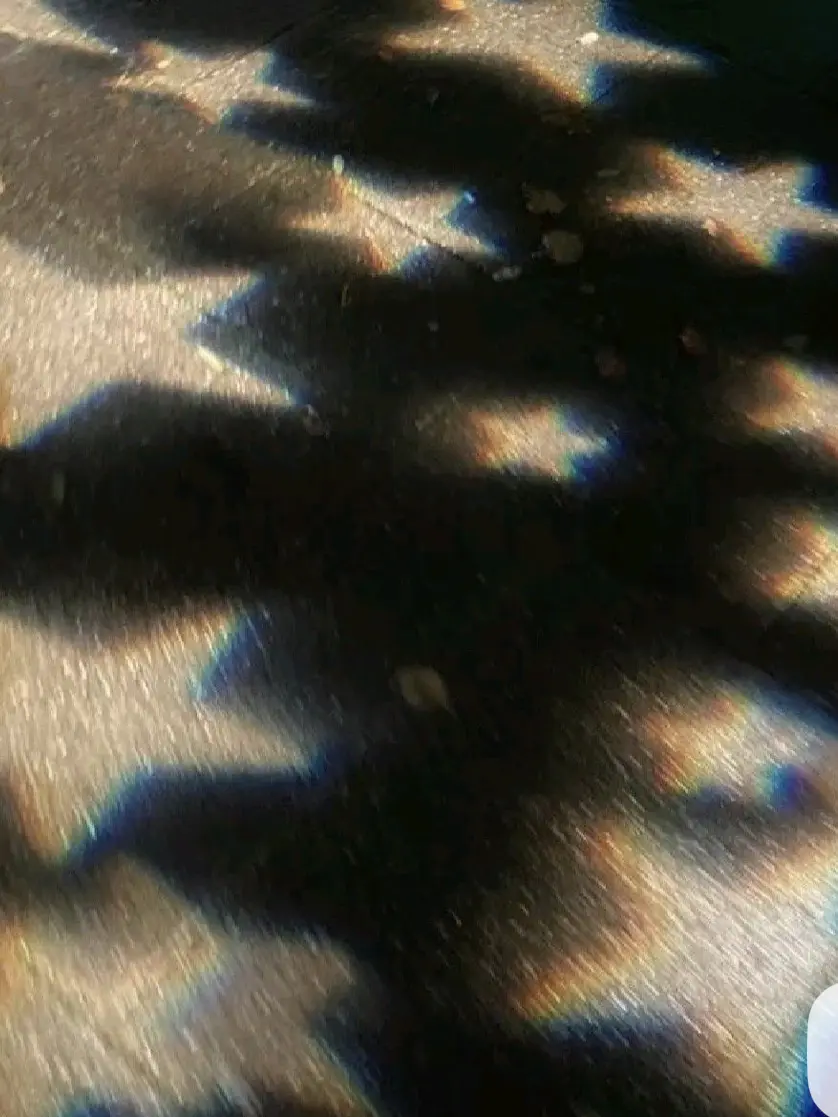 Kirisaki-133의 あなたに片思いの佐伯くん