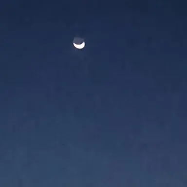 Profile image of Gid