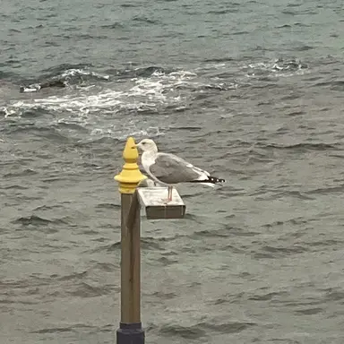 Profile image of 손지운