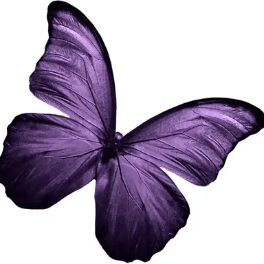 Profile image of 버필
