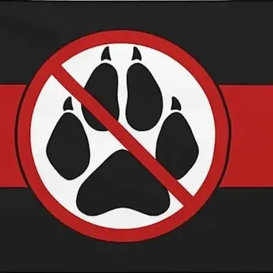 Profile image of Jax