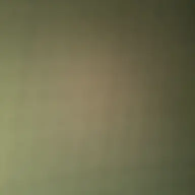 Profile image of 유기사