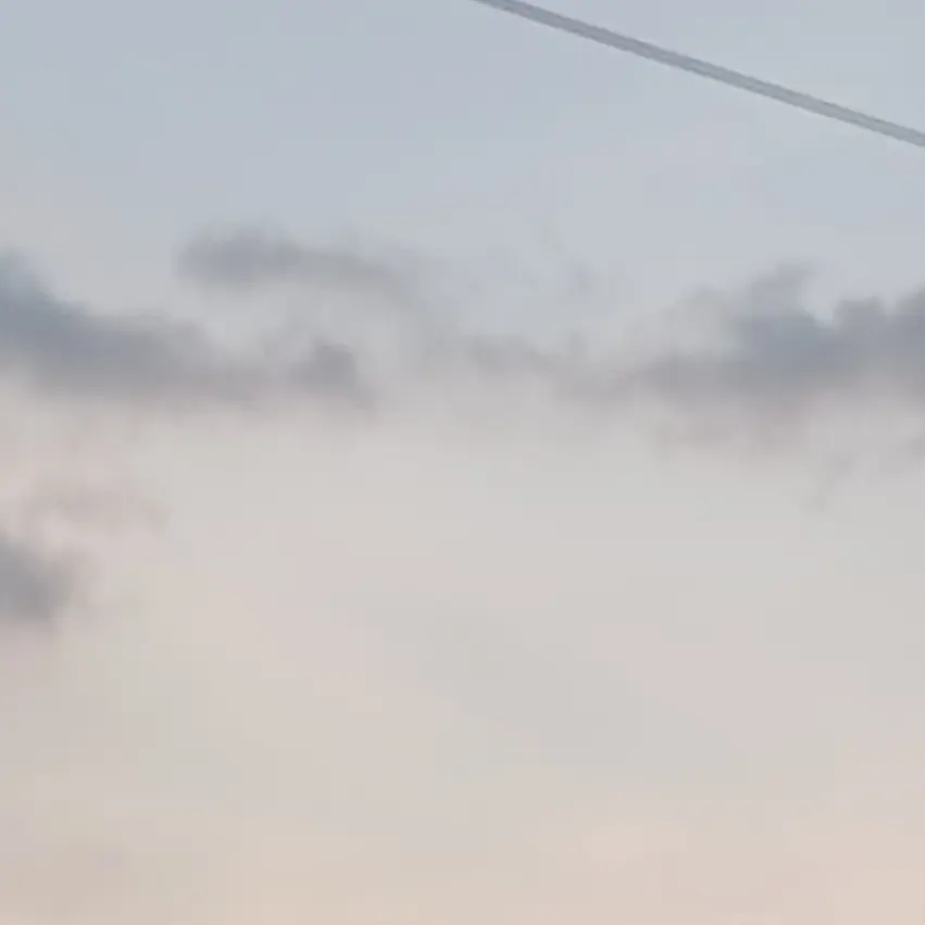 Ezdksksji의 잼민 단톡방