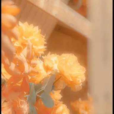 Profile image of 덕개