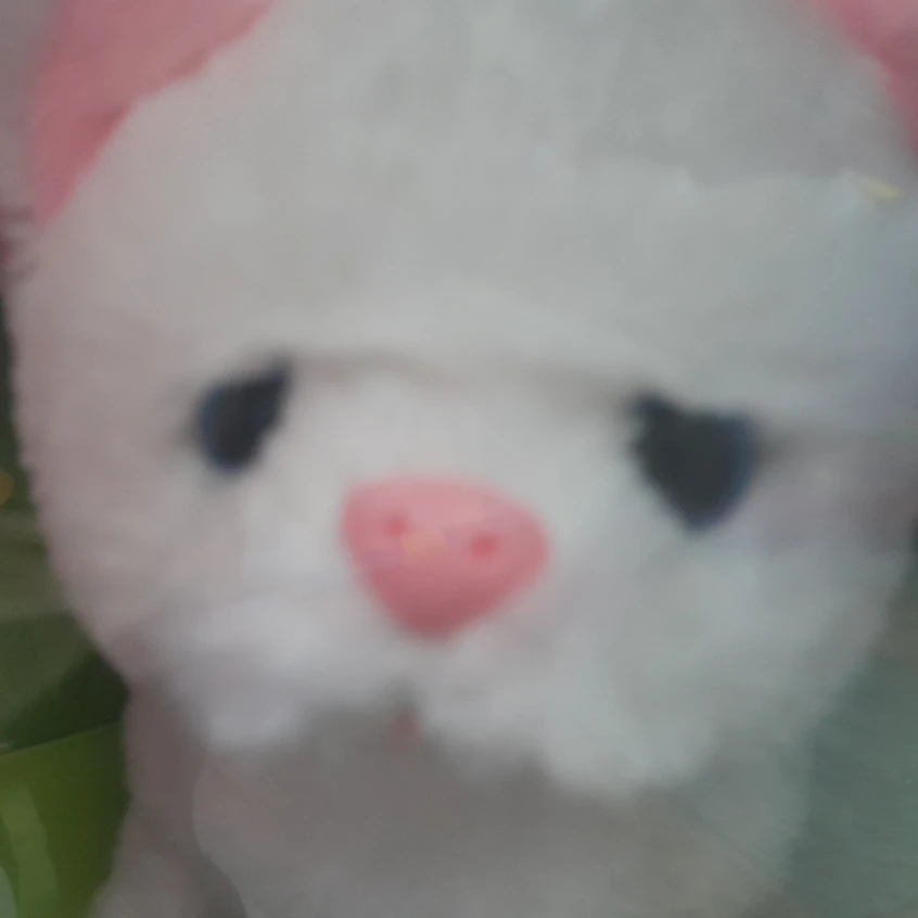 장난감이됀고양이